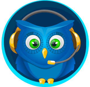 Papersowl contacts