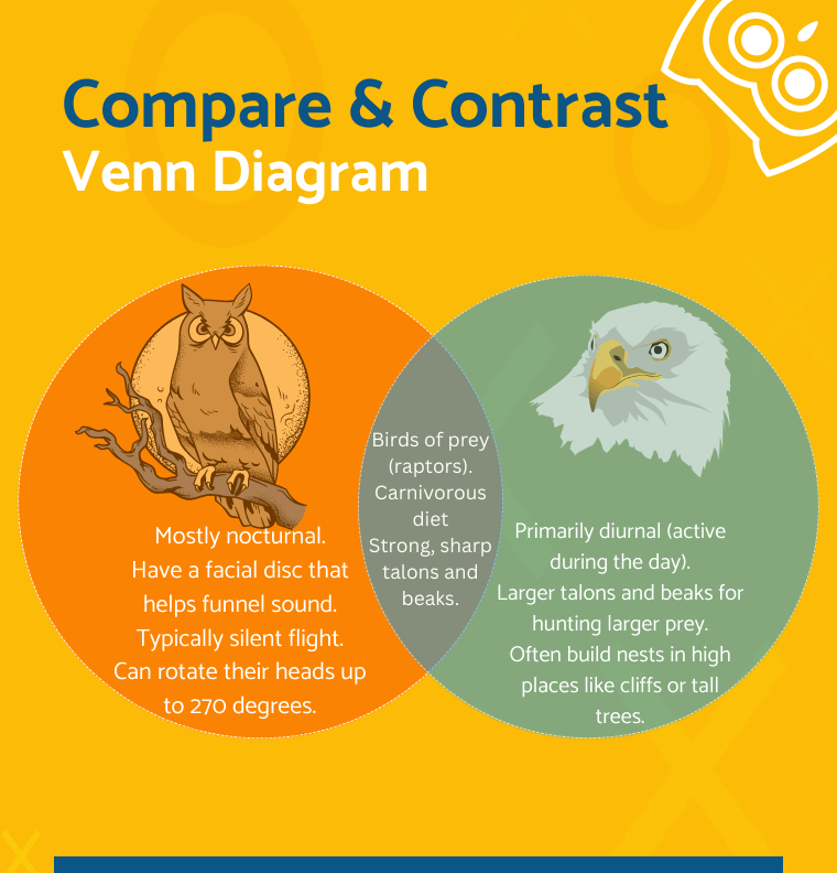 compare and contrast venn diagram