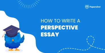 How to write a perspective essay expressing a clear point of view